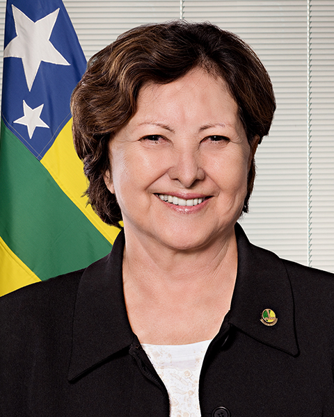 Senadora Maria do Carmo Alves (DEM/SE)