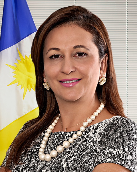 Senadora Kátia Abreu (PP/TO)
