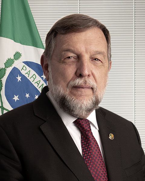 Senador Flávio Arns (REDE/PR)
