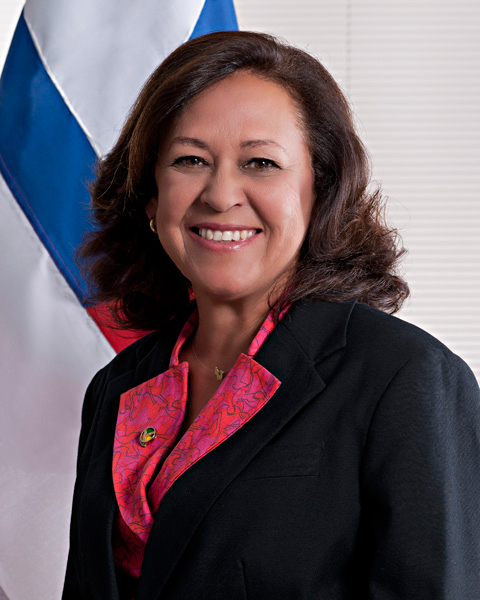 Senadora Lídice da Mata (PSB/BA), Senador Roberto Rocha (PSB/MA)