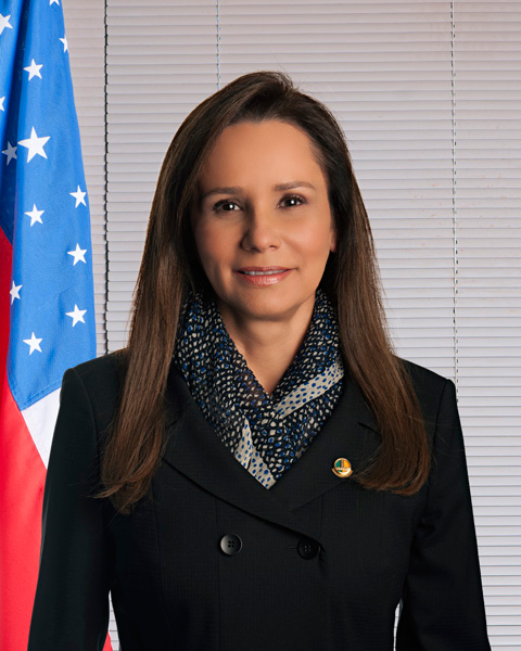 Senadora Sandra Braga (MDB/AM)