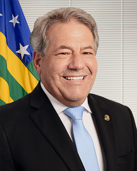 Senador Luiz do Carmo (MDB/GO), Senador Marcos Rogério (DEM/RO)