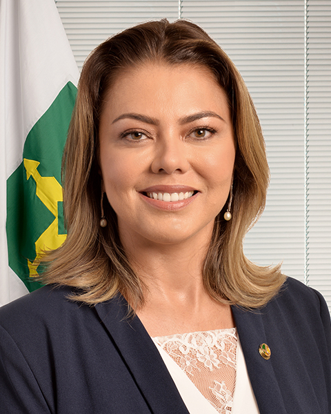 Senadora Leila Barros (PSB/DF)