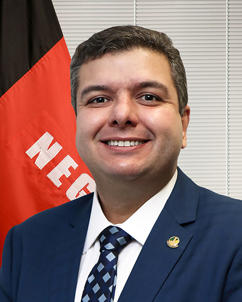 Senador Diego Tavares (PP/PB)