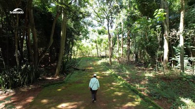 Caatinga: bioma exclusivamente brasileiro que sofre com o processo acelerado de desertificação